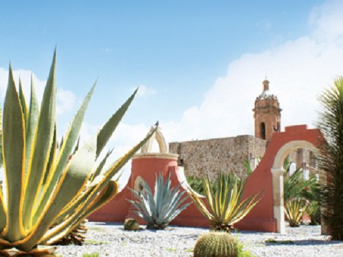 Paseo por Mexico Hacienda Pilotos en Asientos