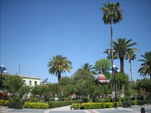 Paseo por Mexico Zócalo de Rincón de Romos