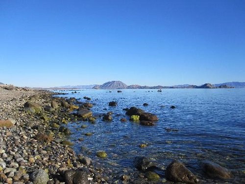 Paseo por Mexico Bahía de los Angeles en Ensenada