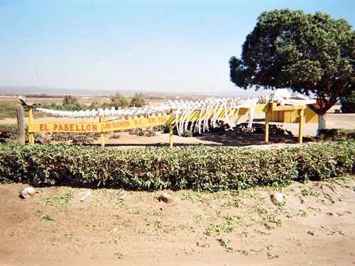 Paseo por Mexico El Pabellón en Ensenada