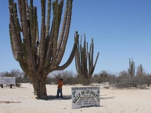 Paseo por Mexico Valle de los Gigantes en Mexicali