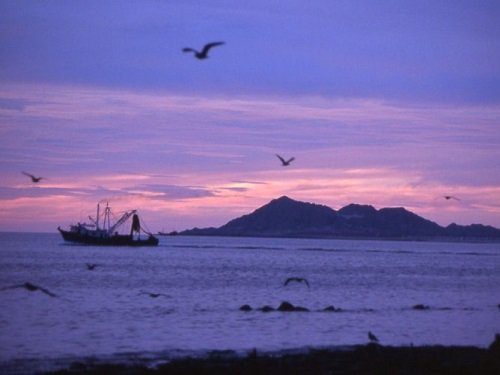 Paseo por Mexico Biósfera Alto Golfo de California y Delta del Río Colorado en Mexicali