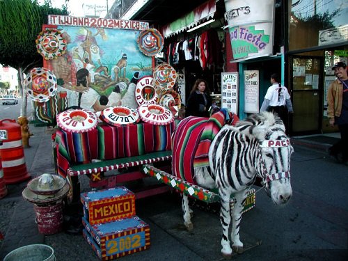 Paseo por Mexico Burro Cebra de Tijuana