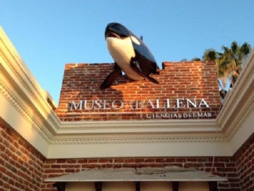 Paseo por Mexico Museo de la Ballena y Ciencias del Mar en La Paz