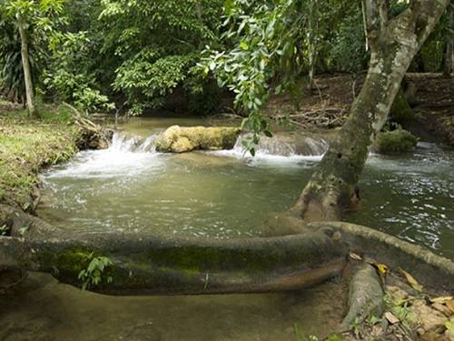 Paseo por Mexico Campamento Eco turístico Ya Toch Barum en Ocosingo