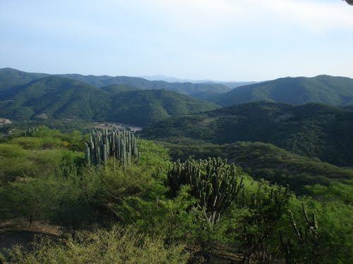 Paseo por Mexico Acaxtlahuacan de Albino Zertuche