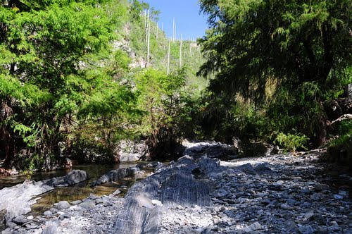 Paseo por Mexico Puente Chico en Atoyatempan