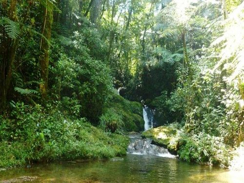 Paseo por Mexico Cascada de Atepatahua en Cuetzalan del Progreso