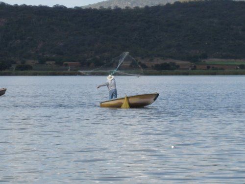 Paseo por Mexico Mojarras de Epatlán