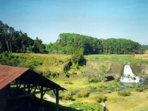 Paseo por Mexico La Trinidad en Honey