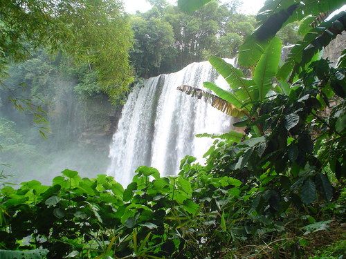 Paseo por Mexico Cascadas Hueytamalco