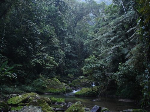 Paseo por Mexico Río el Tozan en Jonotla