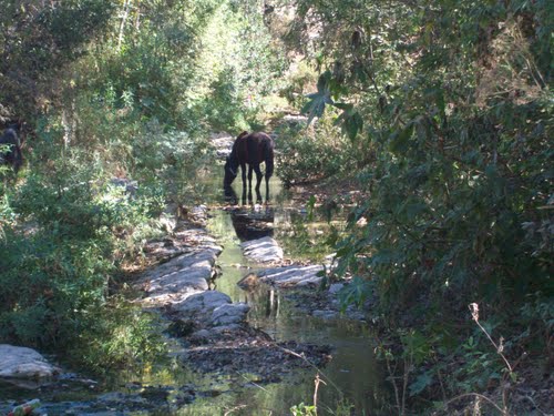 Paseo por Mexico Rio Duraznillo en Juan N. Méndez