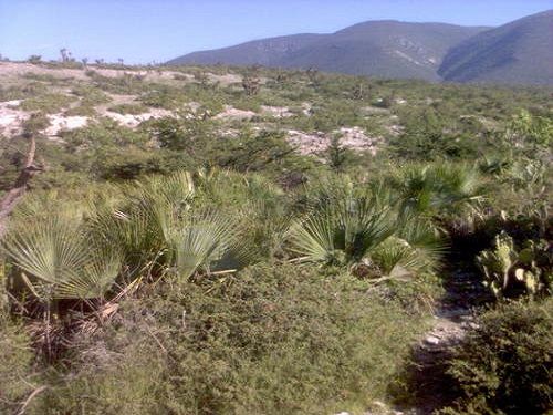 Paseo por Mexico Area de caza en San Juan Atzompa