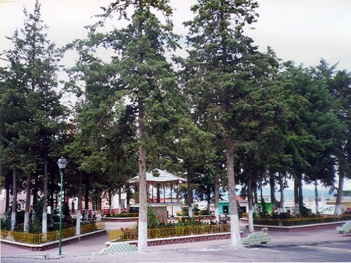 Paseo por Mexico Zócalo de Soltepec