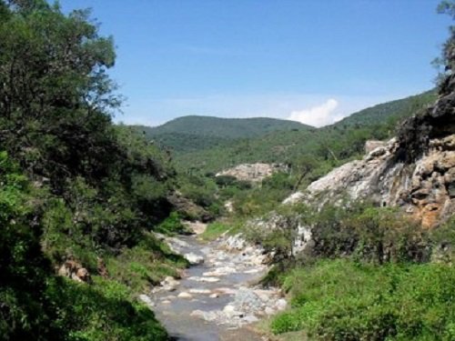 Paseo por Mexico Río el Salado de Tehuacán