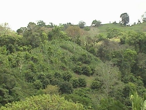 Paseo por Mexico El Río Apulco y Río Metzonate