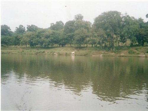 Paseo por Mexico El Zapotal en Tenampulco