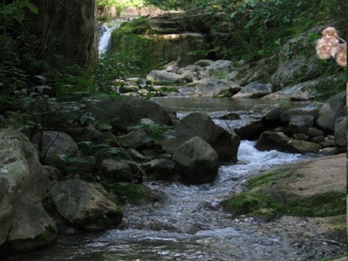 Paseo por Mexico Rios Xochiapulco