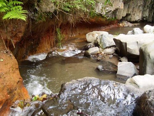 Paseo por Mexico Río de Los Berros en Yaonáhuac