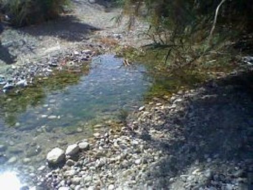 Paseo por Mexico Río Ajamilpa en Zacapala