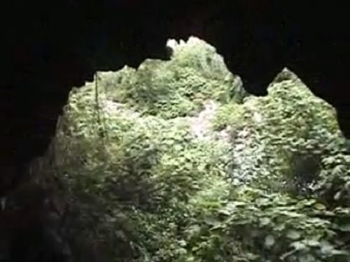 Paseo por Mexico Cueva de la Mona en Zihuateutla