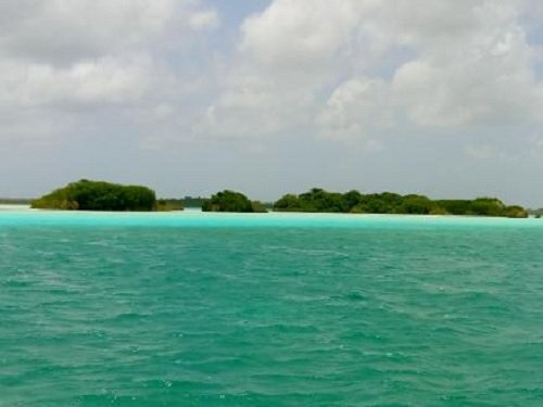 Paseo por Mexico Isla de los pájaros en Bacalar