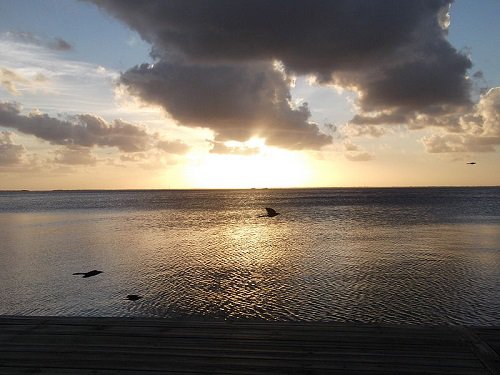 Paseo por Mexico Cancún en Benito Juárez