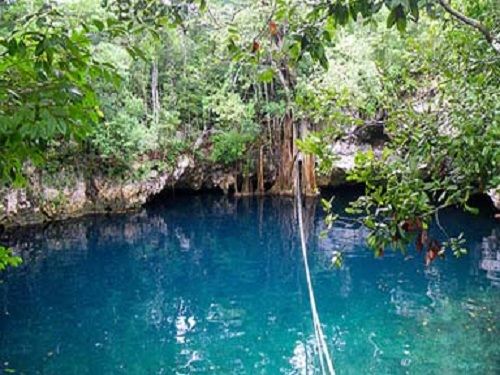 Paseo por Mexico Manglar en Benito Juárez