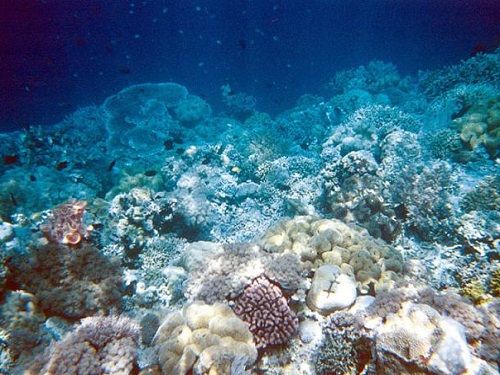 Paseo por Mexico Balones de Chankanaab en Cozumel