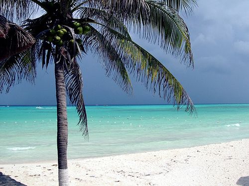 Paseo por Mexico Playa de San Juan en Cozumel