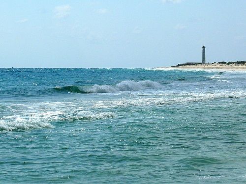 Paseo por Mexico Punta Sur Cozumel