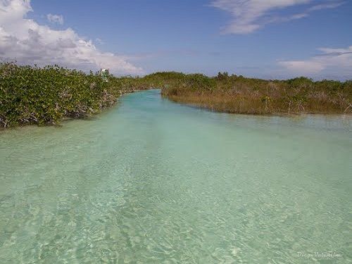 Paseo por Mexico Laguna Chunyaxché (Muyil) en Felipe Carrillo Puerto