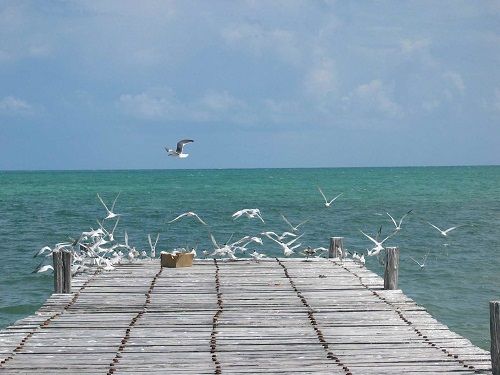 Paseo por Mexico Bahía de la Ascensión en Felipe Carrillo Puerto