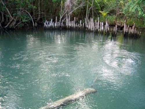 Paseo por Mexico Laguna Yalahau en Lázaro Cárdenas