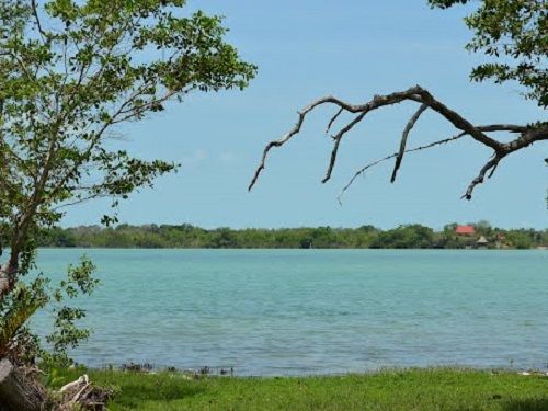 Paseo por Mexico Laguna Guerrero en Othón P. Blanco