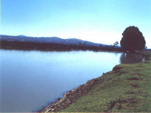 Paseo por Mexico Laguna Contenango en Muñoz de Domingo Arenas